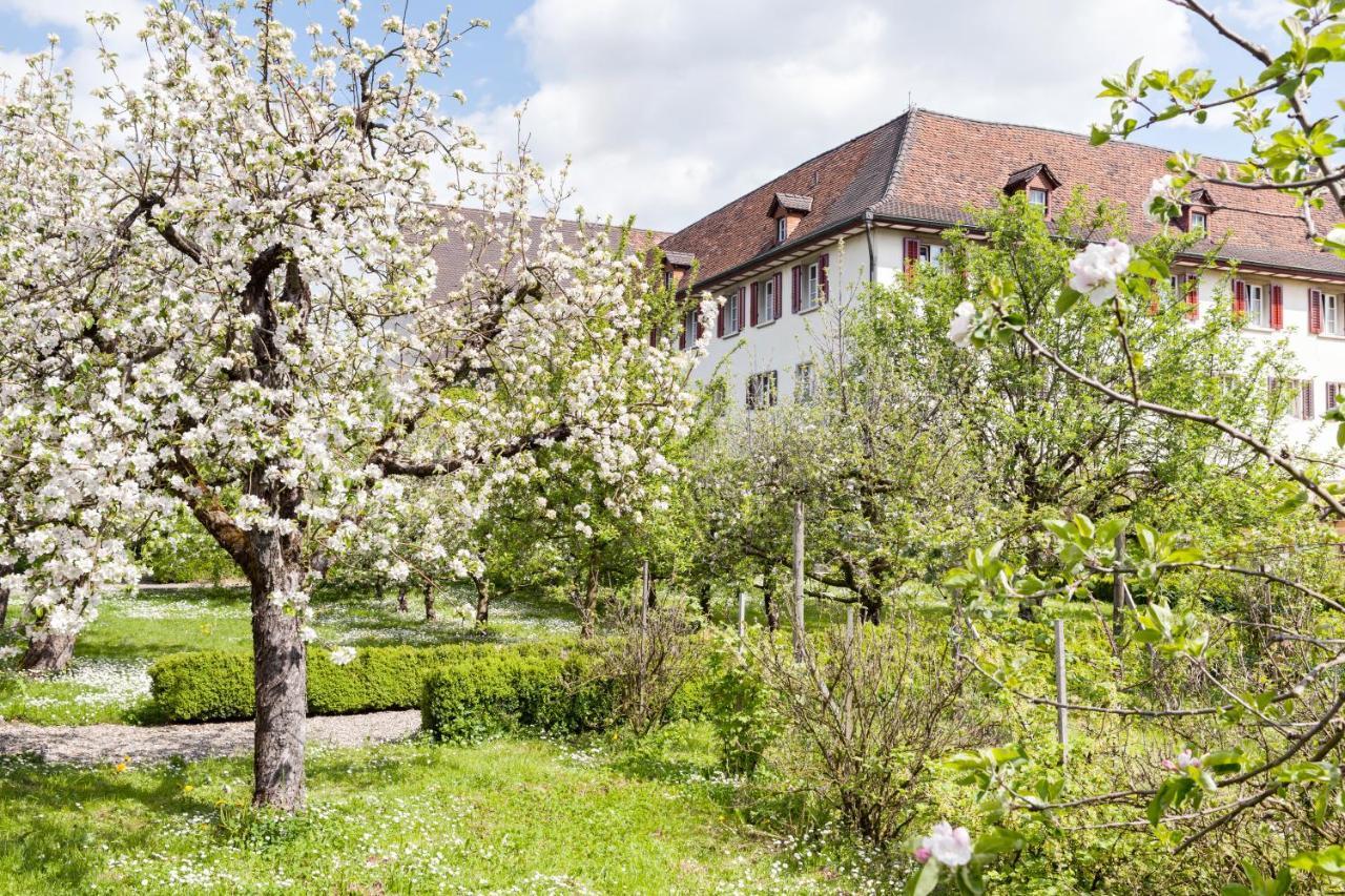 Kloster Dornach / Basel Extérieur photo